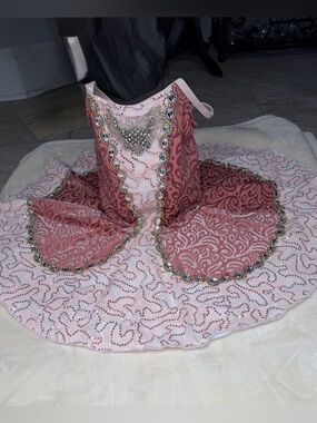 Revolution Girls Pink Jeweled Dance Dress with Rose Accents 2pcs Sz MC